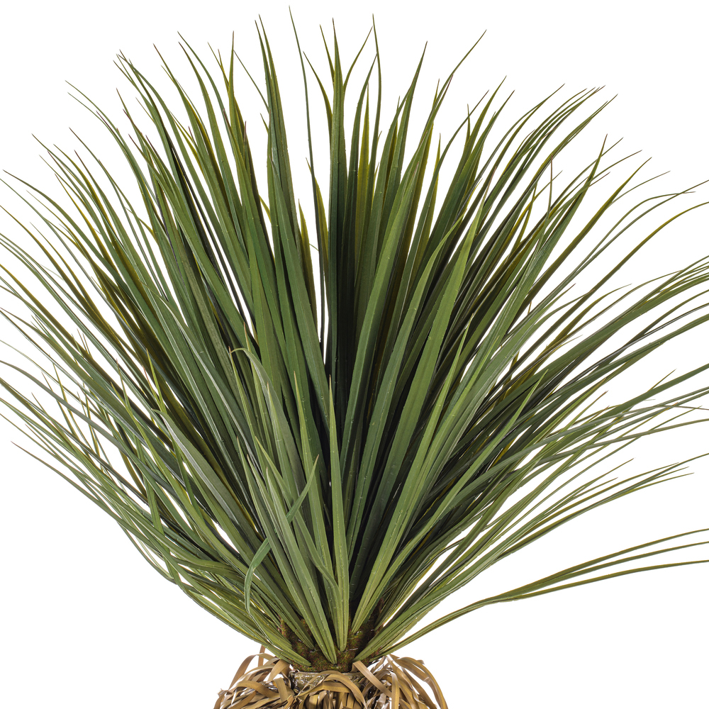 Vickerman Yucca Tree in Plastic Pot