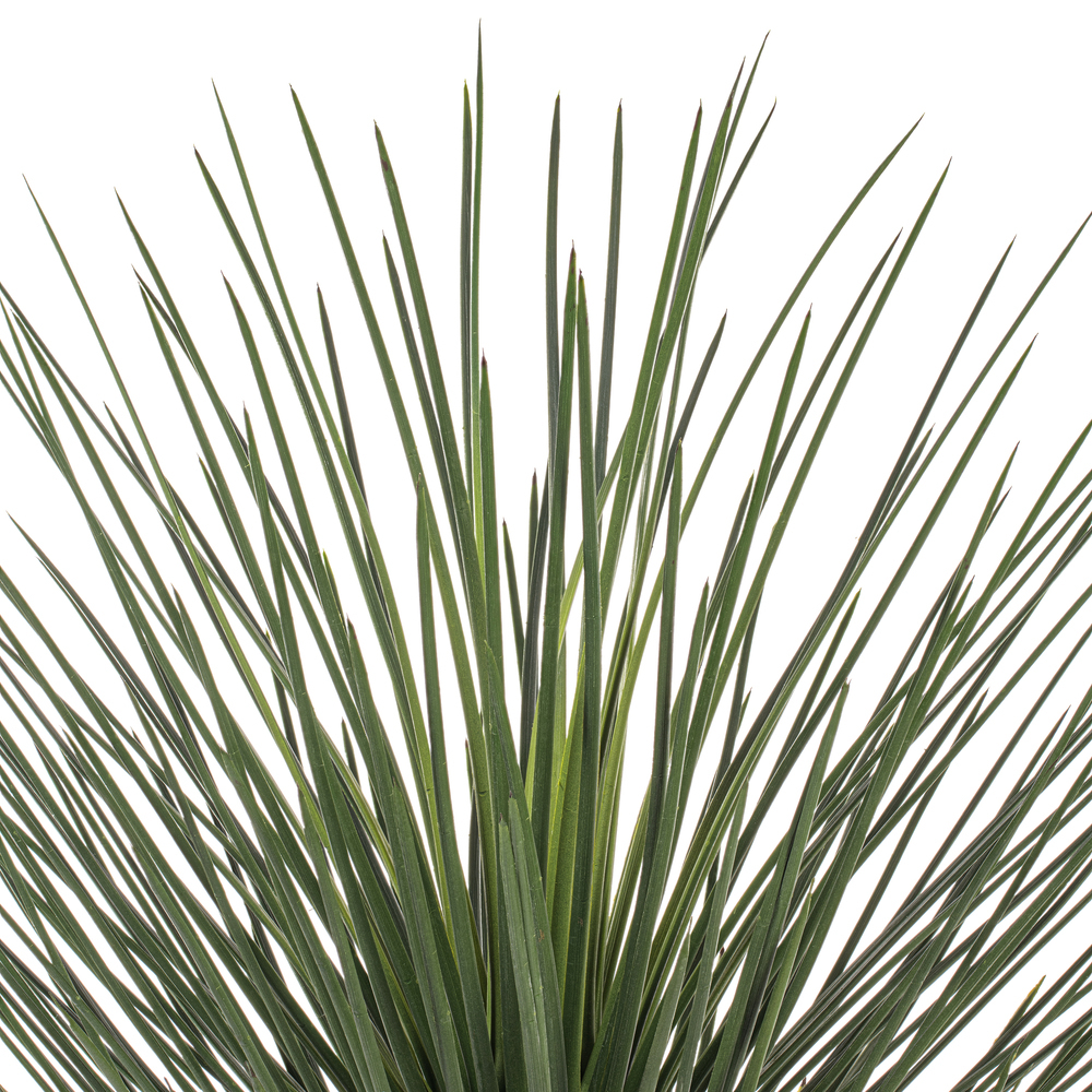 48" Green Nolina Palm Potted UV