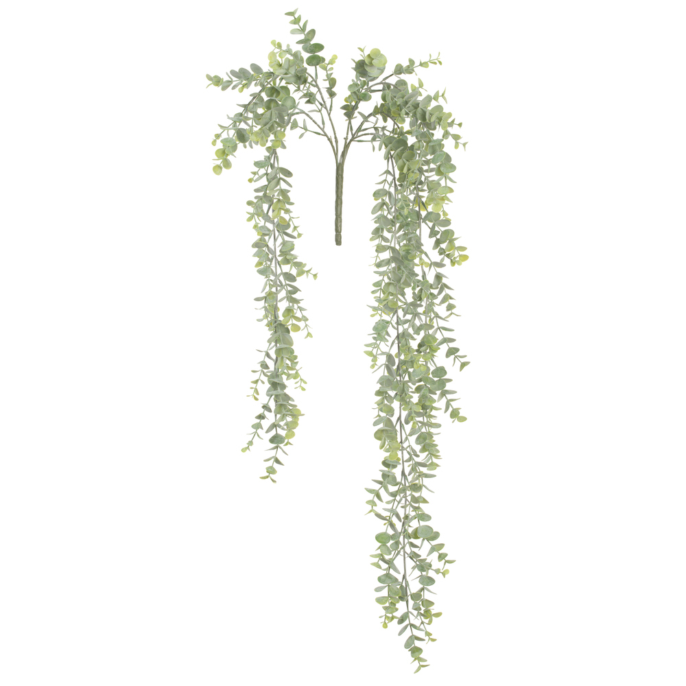 Mini Leaf Eucalyptus