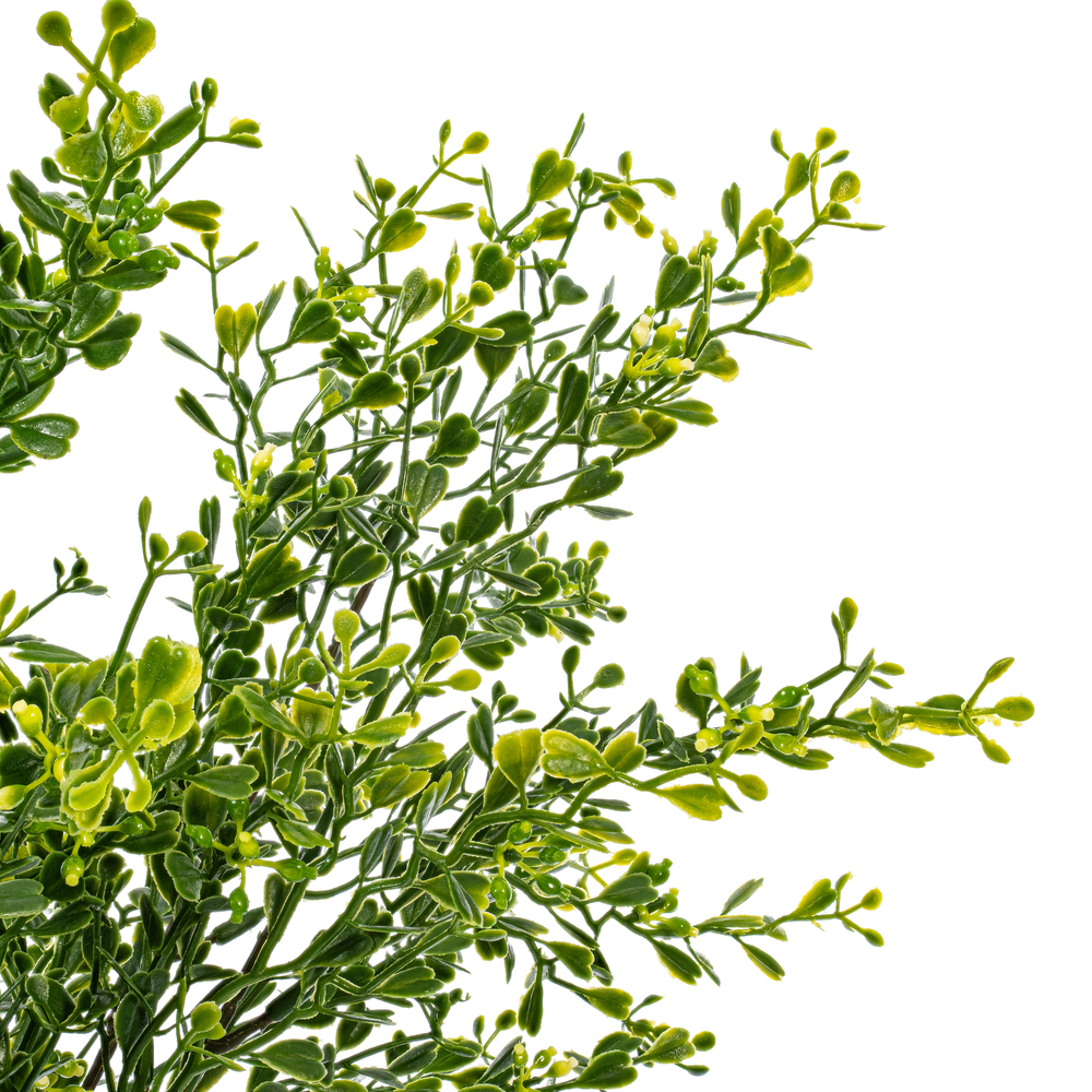 Vickerman Artificial Green UV Coated Boxwood Bush