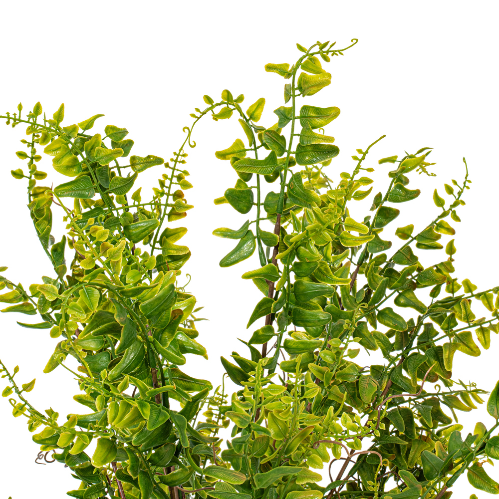 Vickerman Artificial UV Coated Green Royal Fern Bush