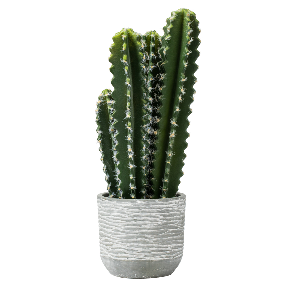 Vickerman Artificial Green Cactus Plant