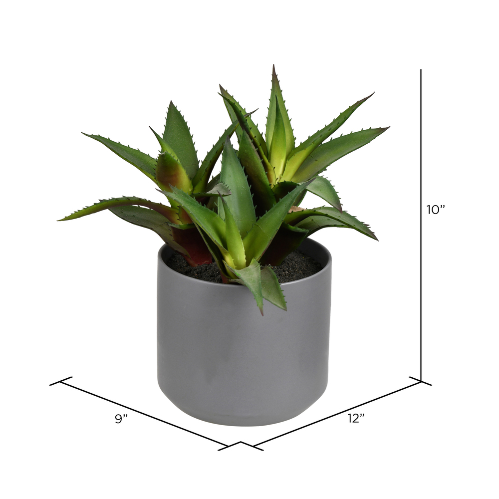 10" Green Potted Aloe