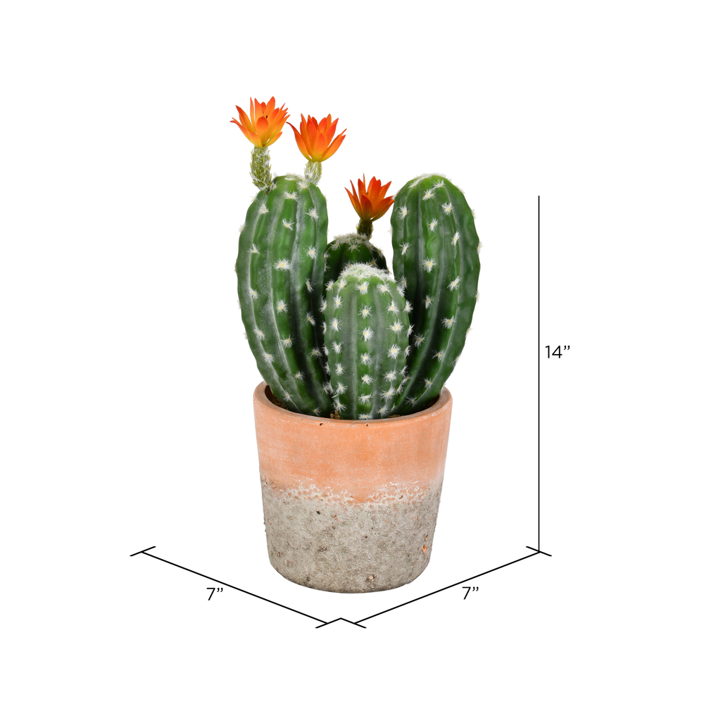 Vickerman Artificial Green Cactus in Clay Pot