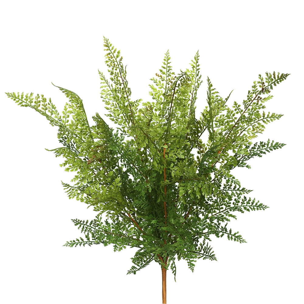 Green Fern Stems