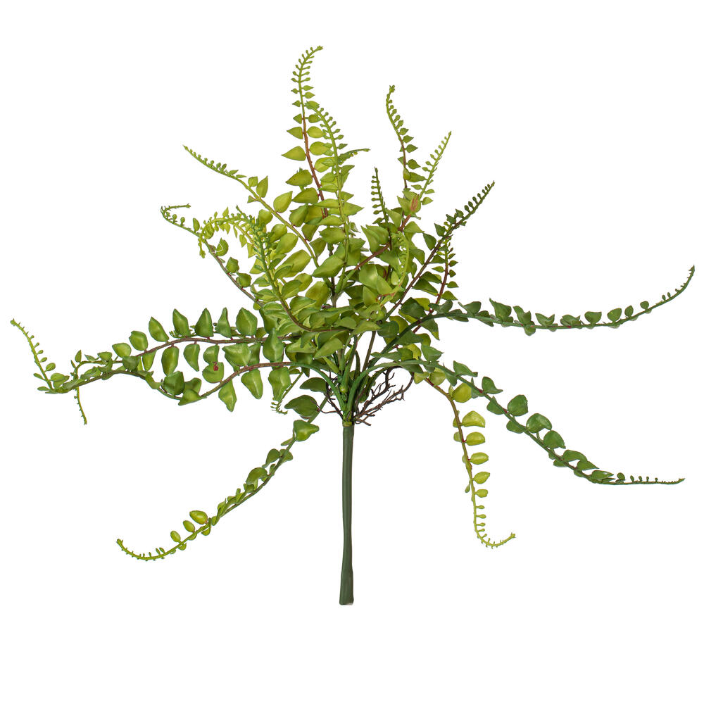 Green Fern Sprays