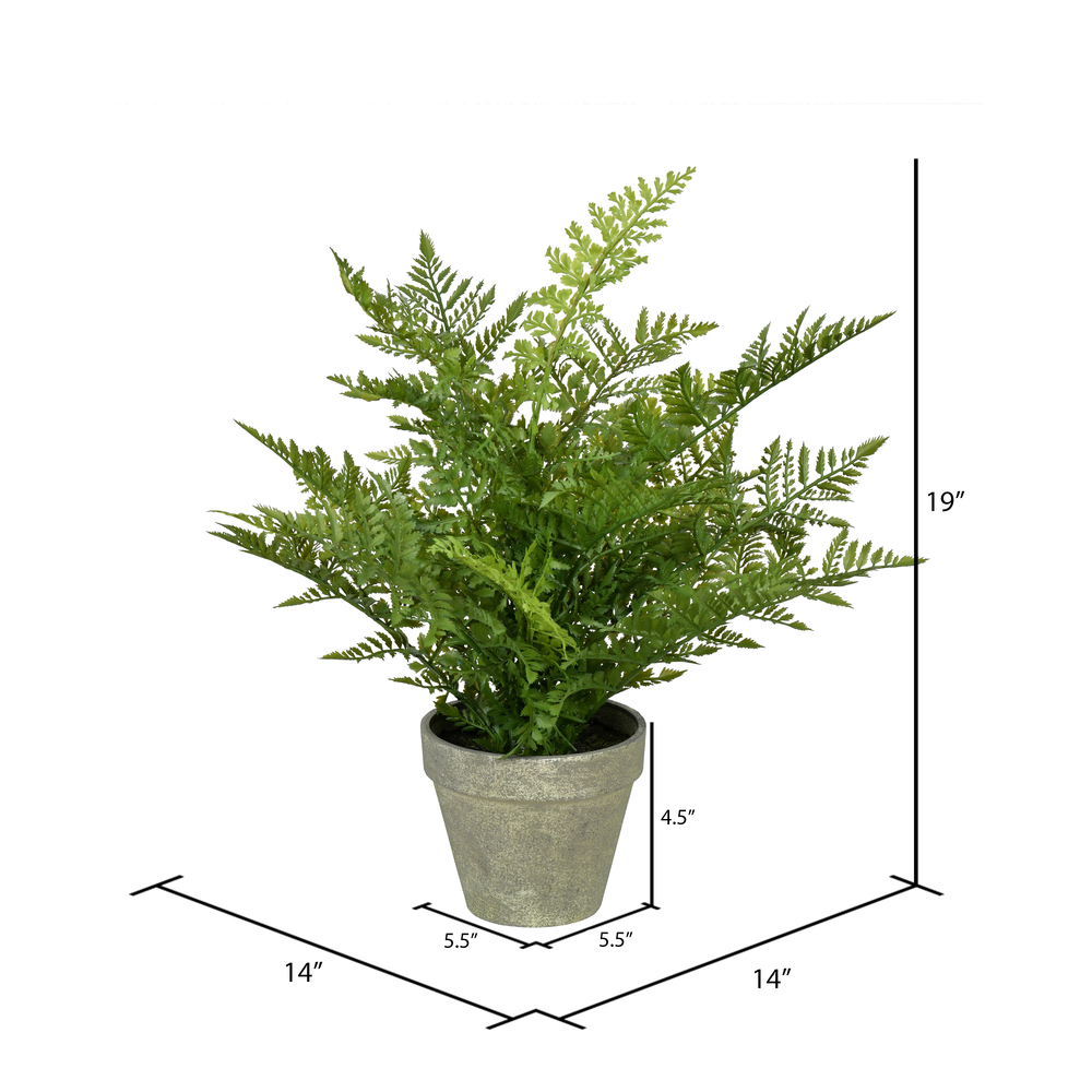 19" Green Fern In Pot