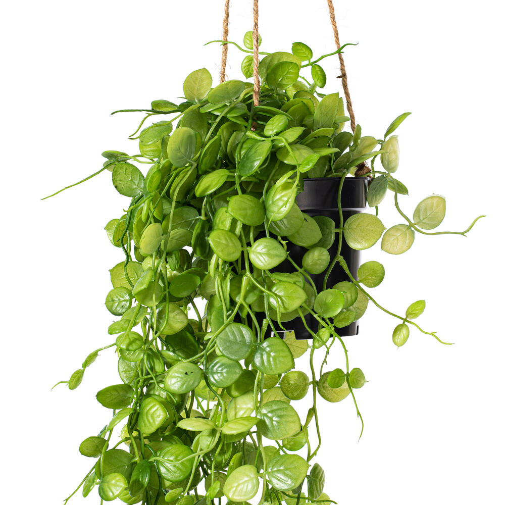 29" Mini Leaf Hanger In Pot