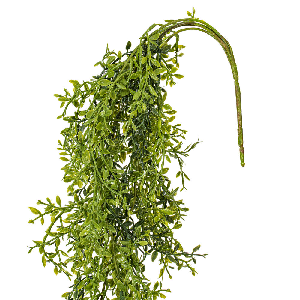 34" Green Lemon Beauty Leaf Vine