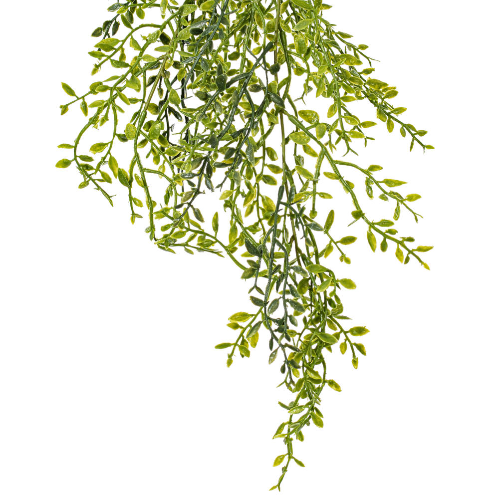 34" Green Lemon Beauty Leaf Vine