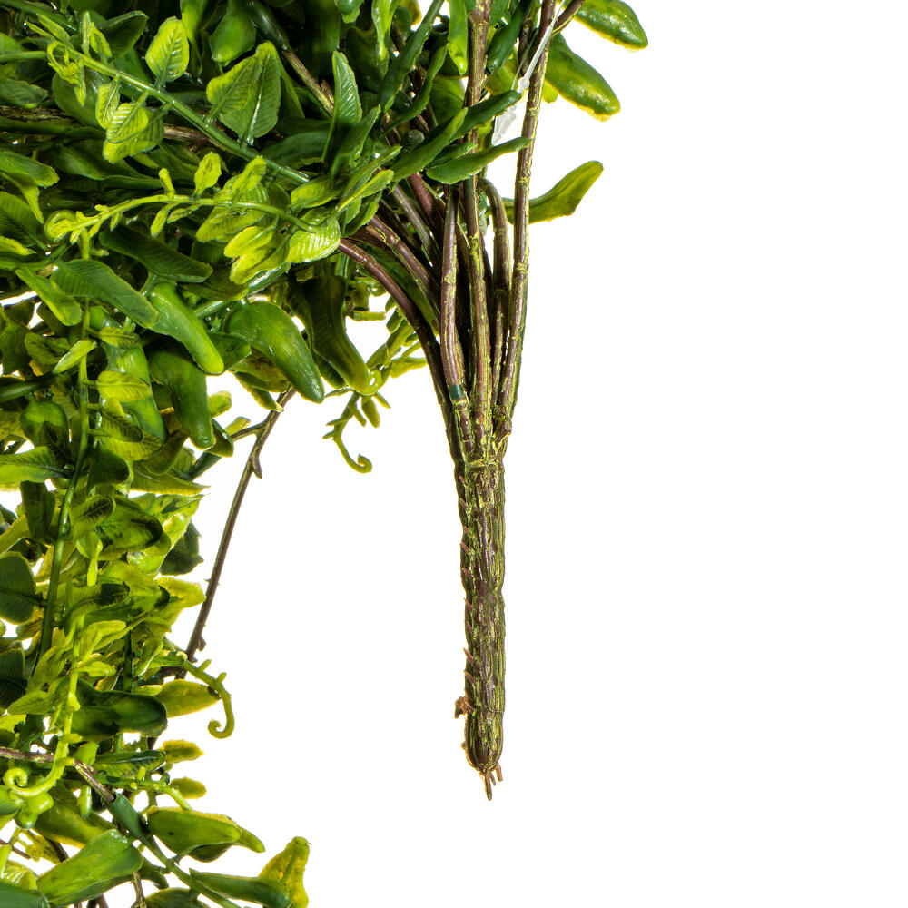 30" Green Buckler Fern Vine
