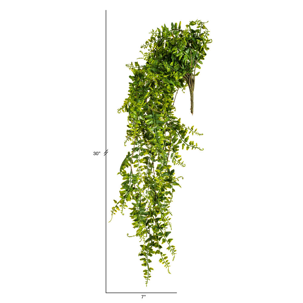 30" Green Buckler Fern Vine