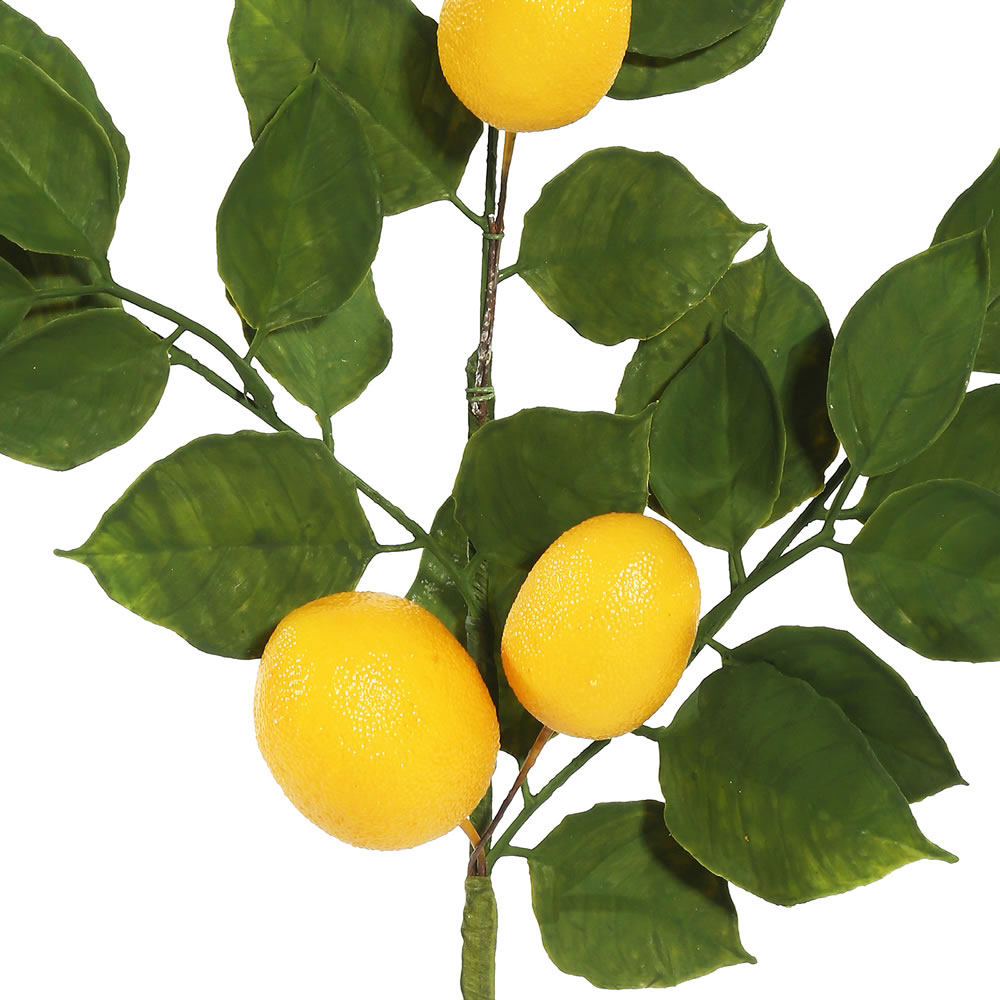 Vickerman Artificial Green and Yellow Salal Leaf Lemon Collection