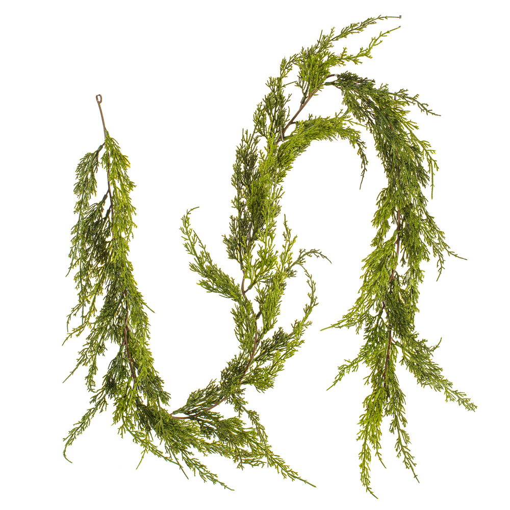 Monterey Cypress Collection