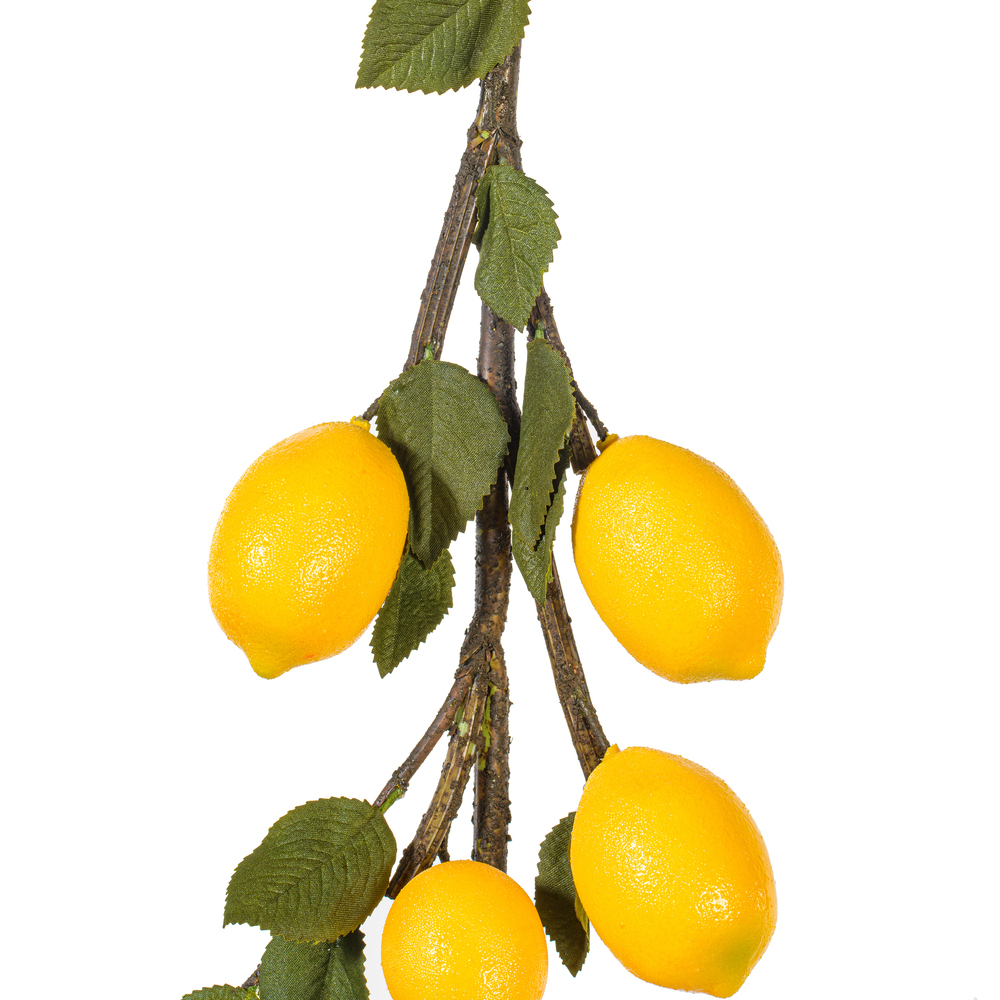 Vickerman Artificial Green and Yellow Lemon Garland