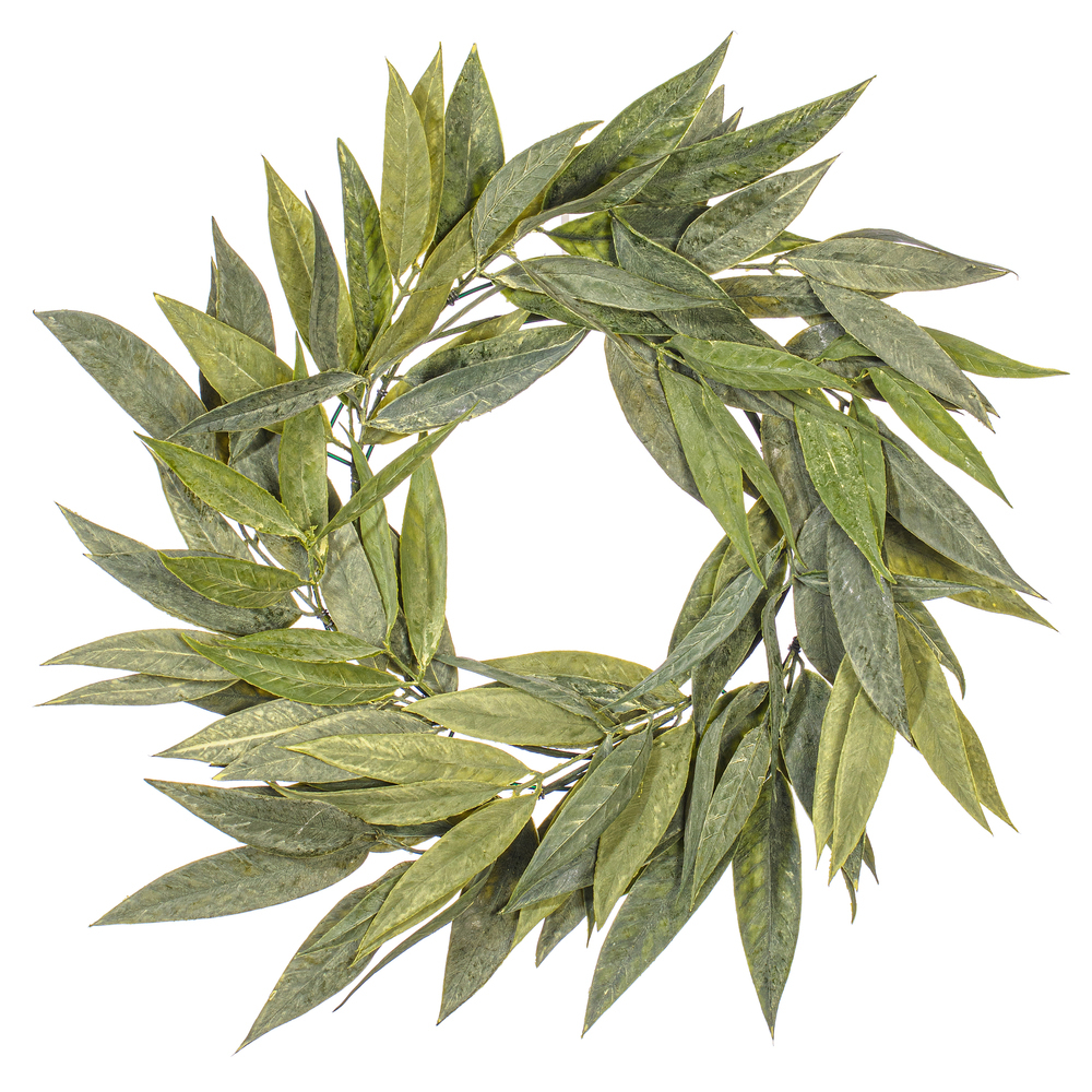 Muddy White Willow Collection
