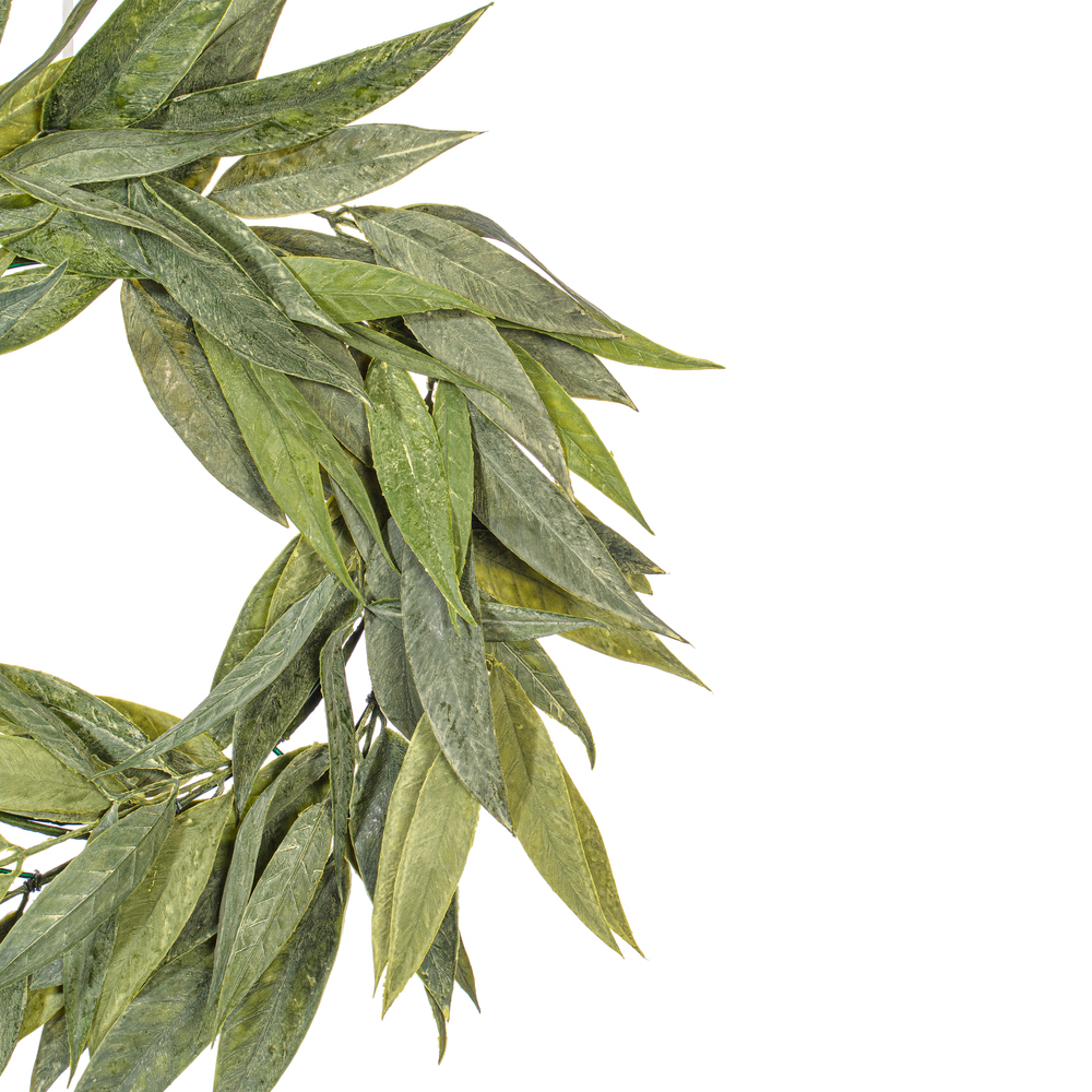 Vickerman Artificial Green Muddy White Willow Collection