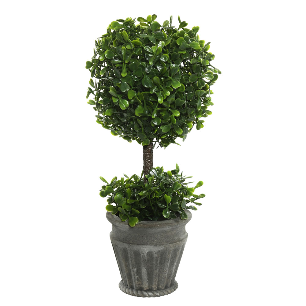 Topiaries / Urn