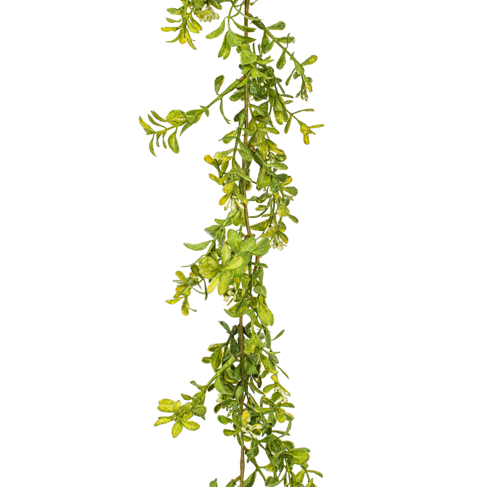 Vickerman Artificial Boxwood Modern Collection
