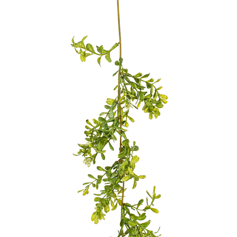 Vickerman Artificial Boxwood Modern Collection