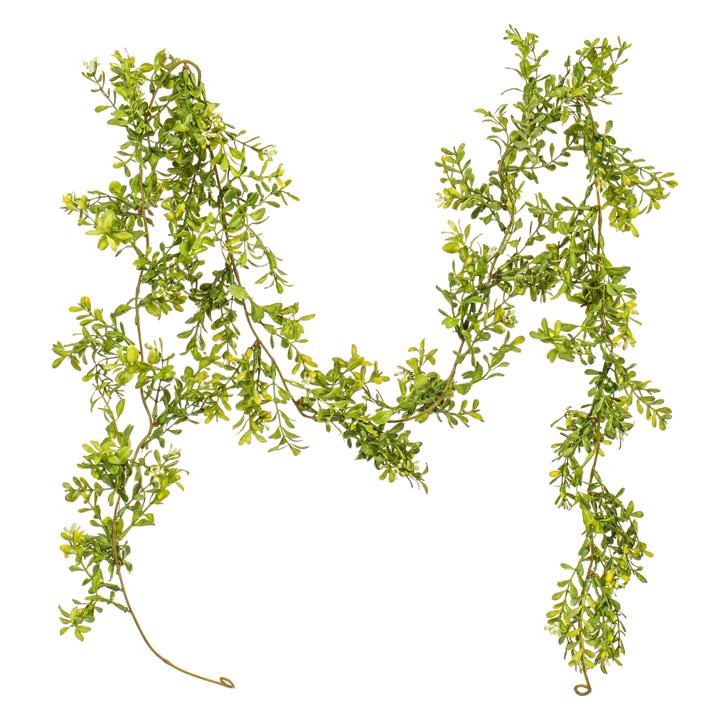 Vickerman Artificial Boxwood Modern Collection