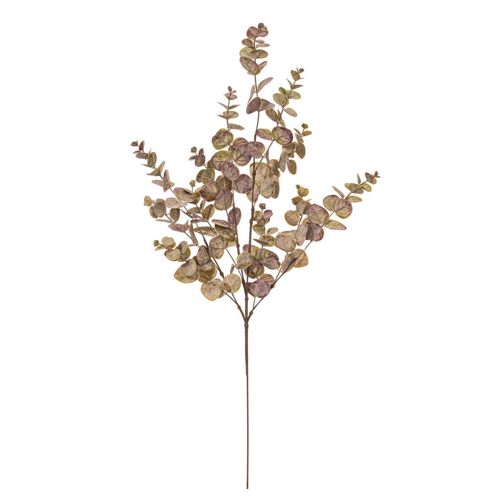 Vickerman Spiral Eucalyptus Collection