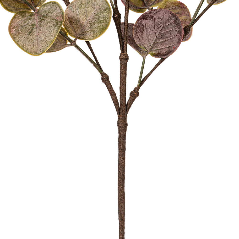 Vickerman Spiral Eucalyptus Collection