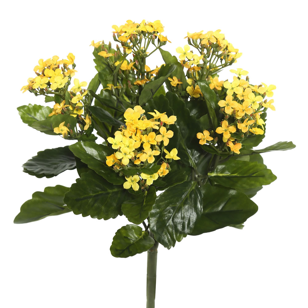 Vickerman Artificial Kalanchoe Bush