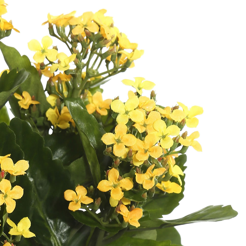 Vickerman Artificial Kalanchoe Bush