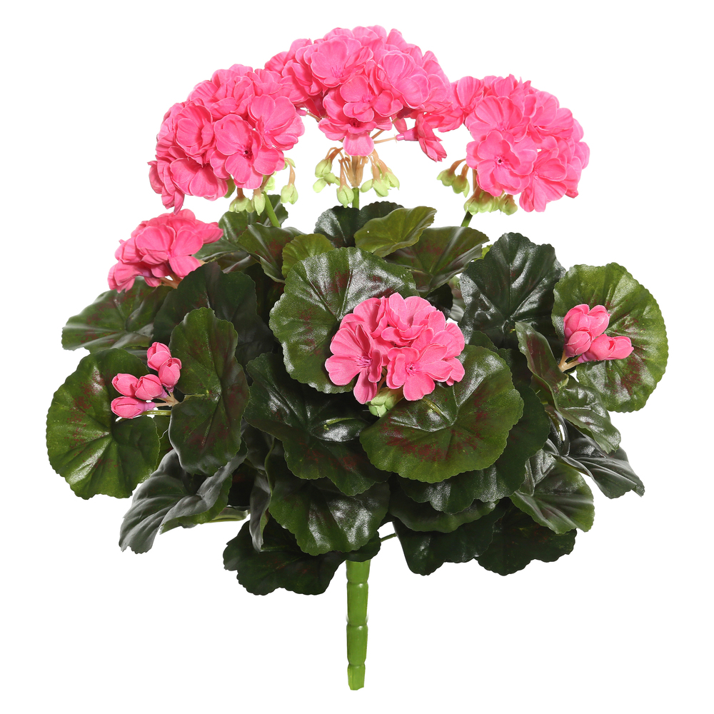 17.5" Geranium Bushes