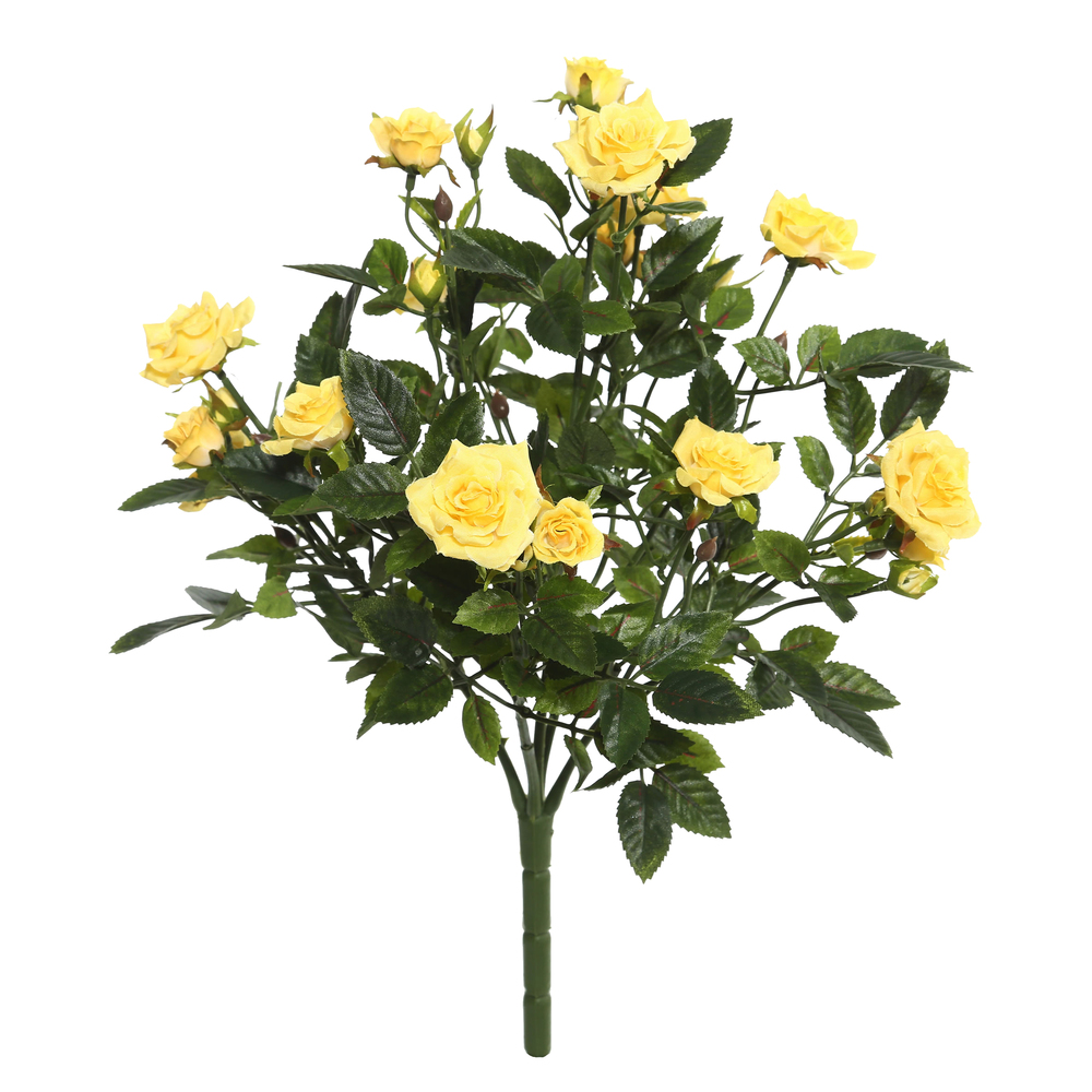 Diamond Rose Bushes