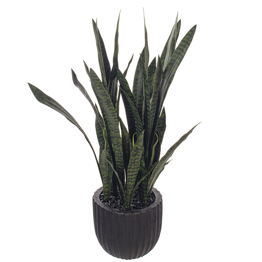 47" Dark Green Sansevieria Potted UV