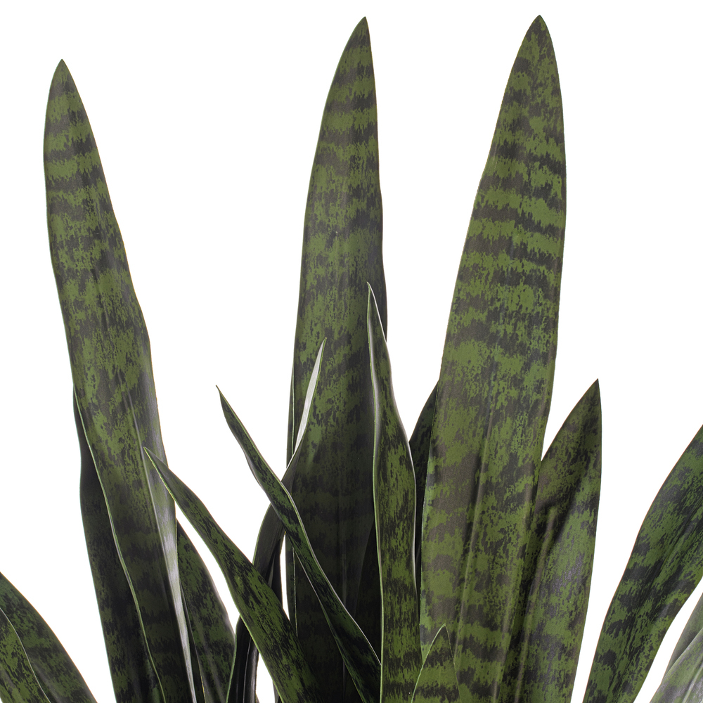 47" Dark Green Sansevieria Potted UV
