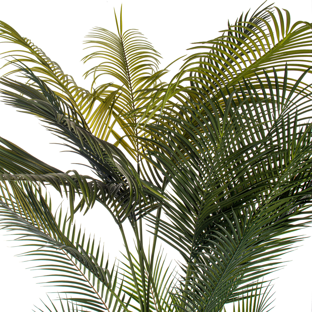 72" Green Areca Palm Potted UV