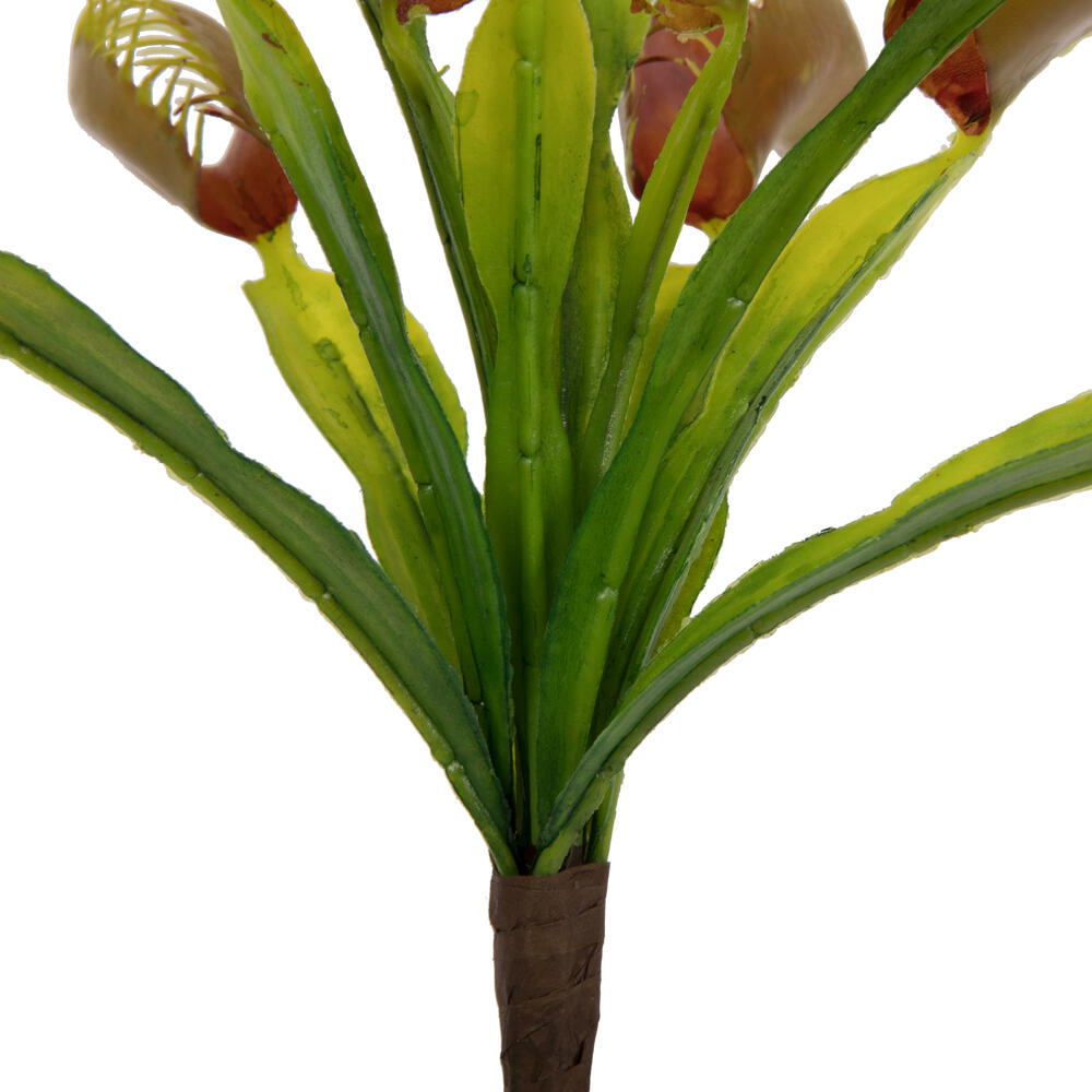 12" Green Venus Flytrap Plant 3/pk