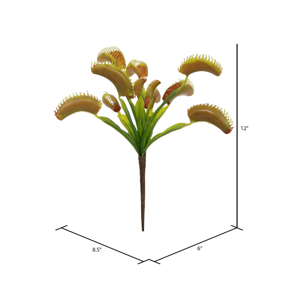 12" Green Venus Flytrap Plant 3/pk