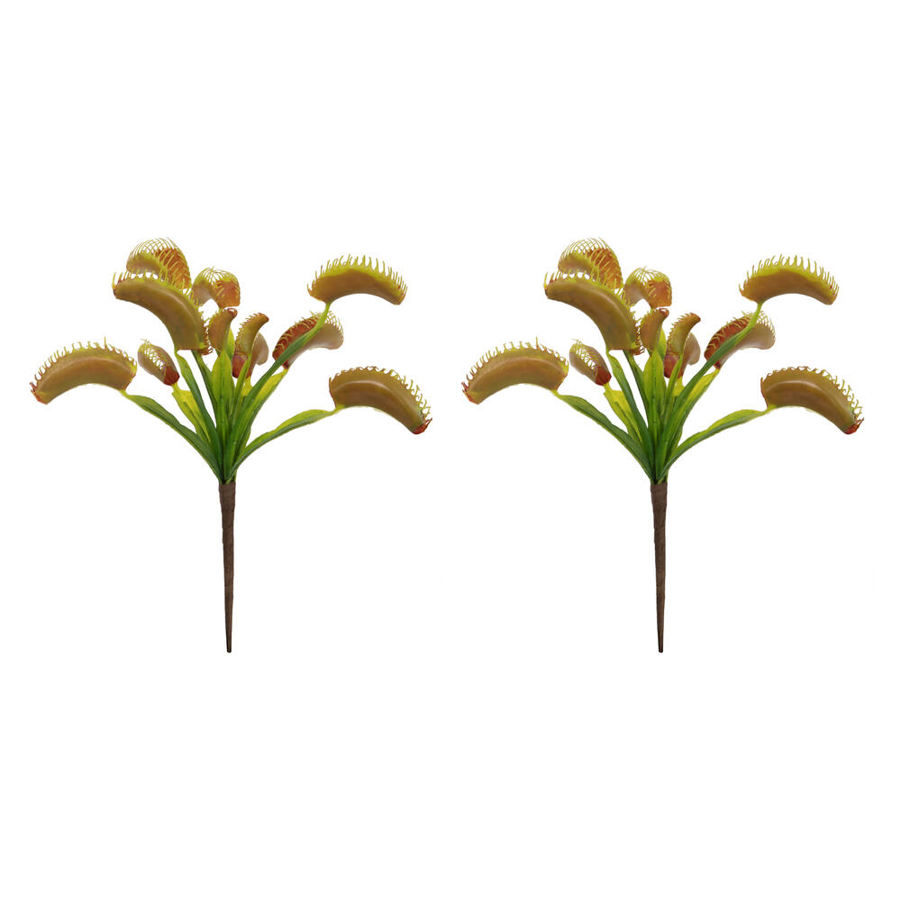 12" Green Venus Flytrap Plant 3/pk