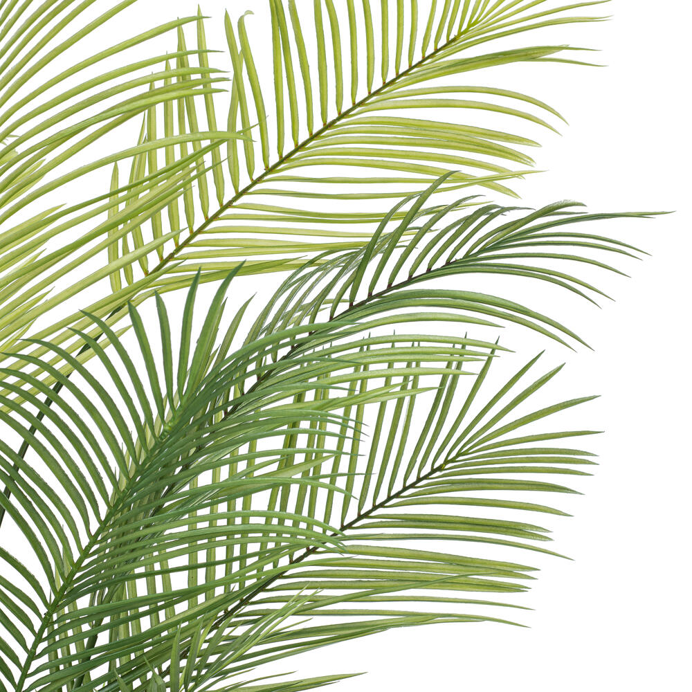 Vickerman Green Areca Palm Plant. 