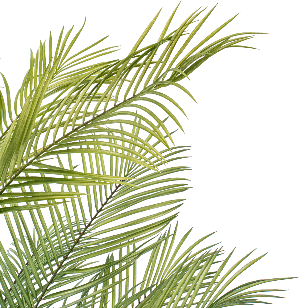 Vickerman Green Areca Palm Plant. 