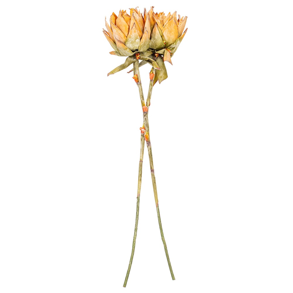 Vickerman Dried Protea Stem, 2 per Bag