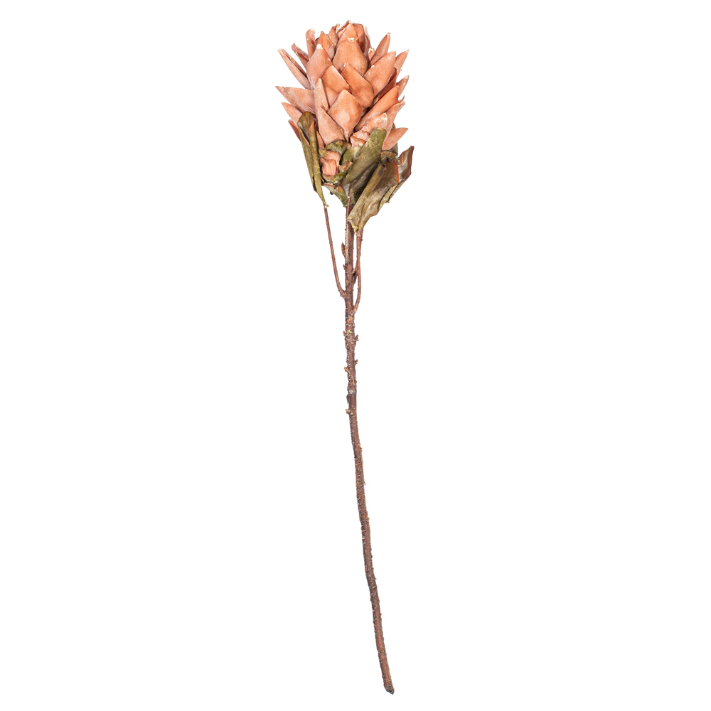 30.5" Stems