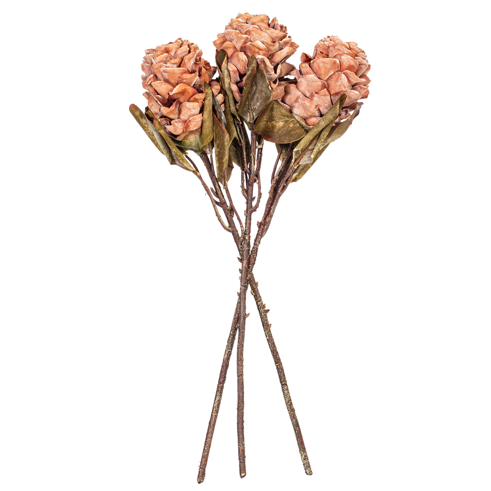 Vickerman 22"  Dried Ginger Stem, 3 per bag