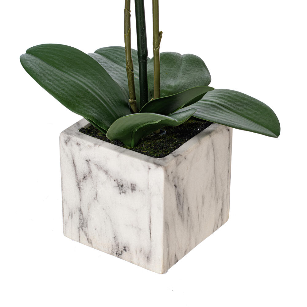 Vickerman 22" Artificial Potted Real Touch Phalaenopsis