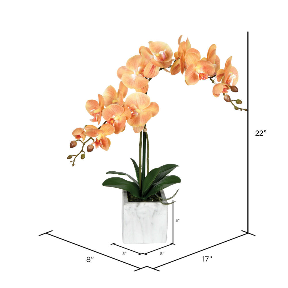 Vickerman 22" Artificial Potted Real Touch Phalaenopsis