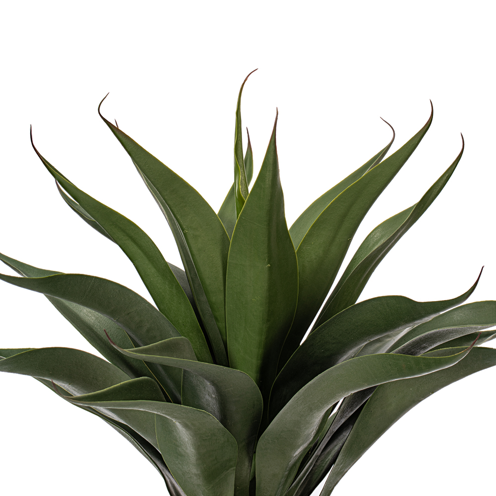 Vickerman Artificial Potted Aloe Vera