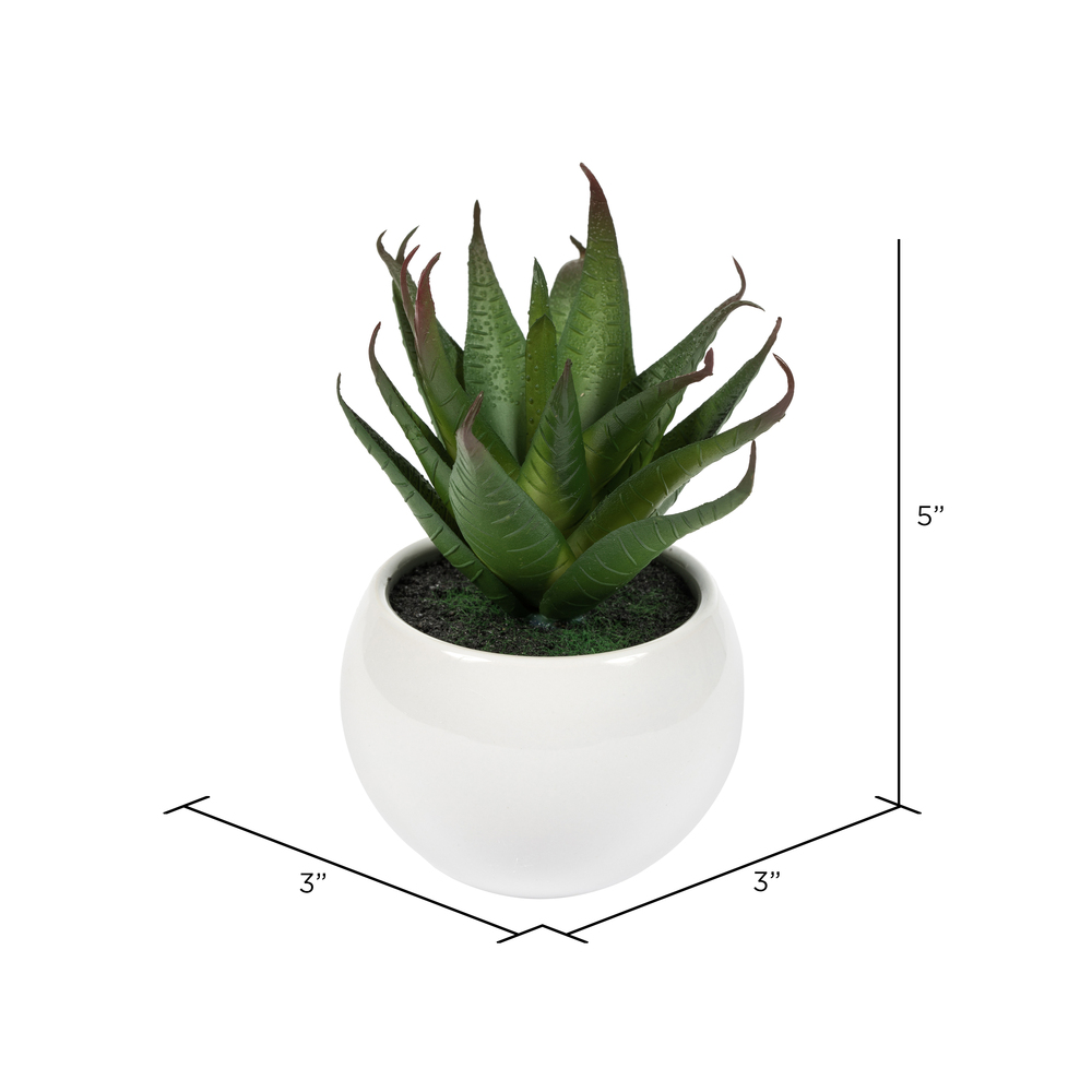 5" Green/Red/Gray Succulent Wht Pot Set3