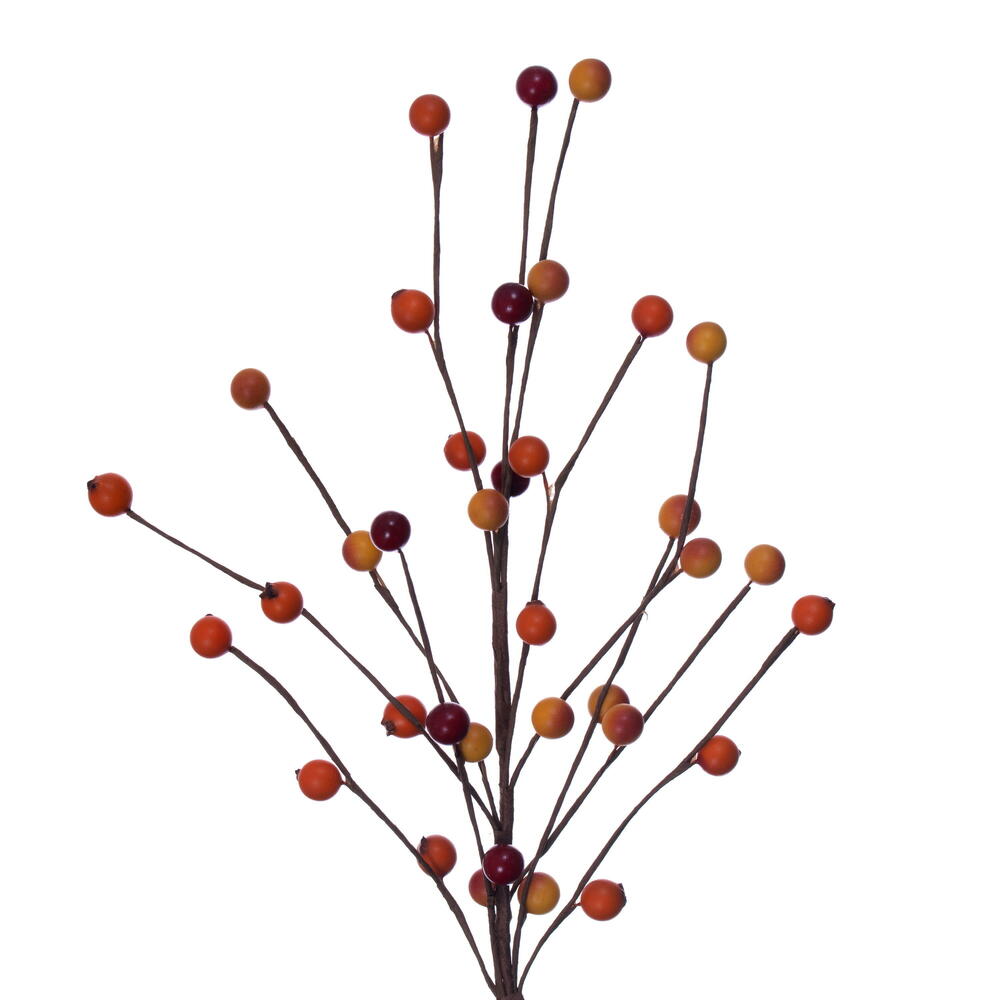 Vickrman Orange Berry Accent