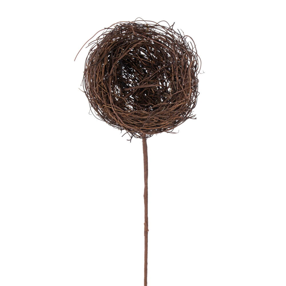 Bird's Nests