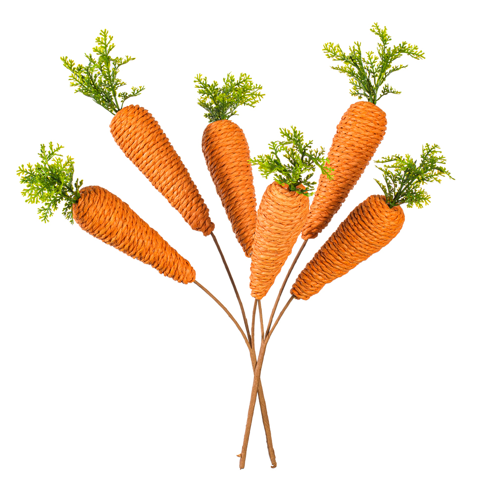 Vickerman Carrot Collection