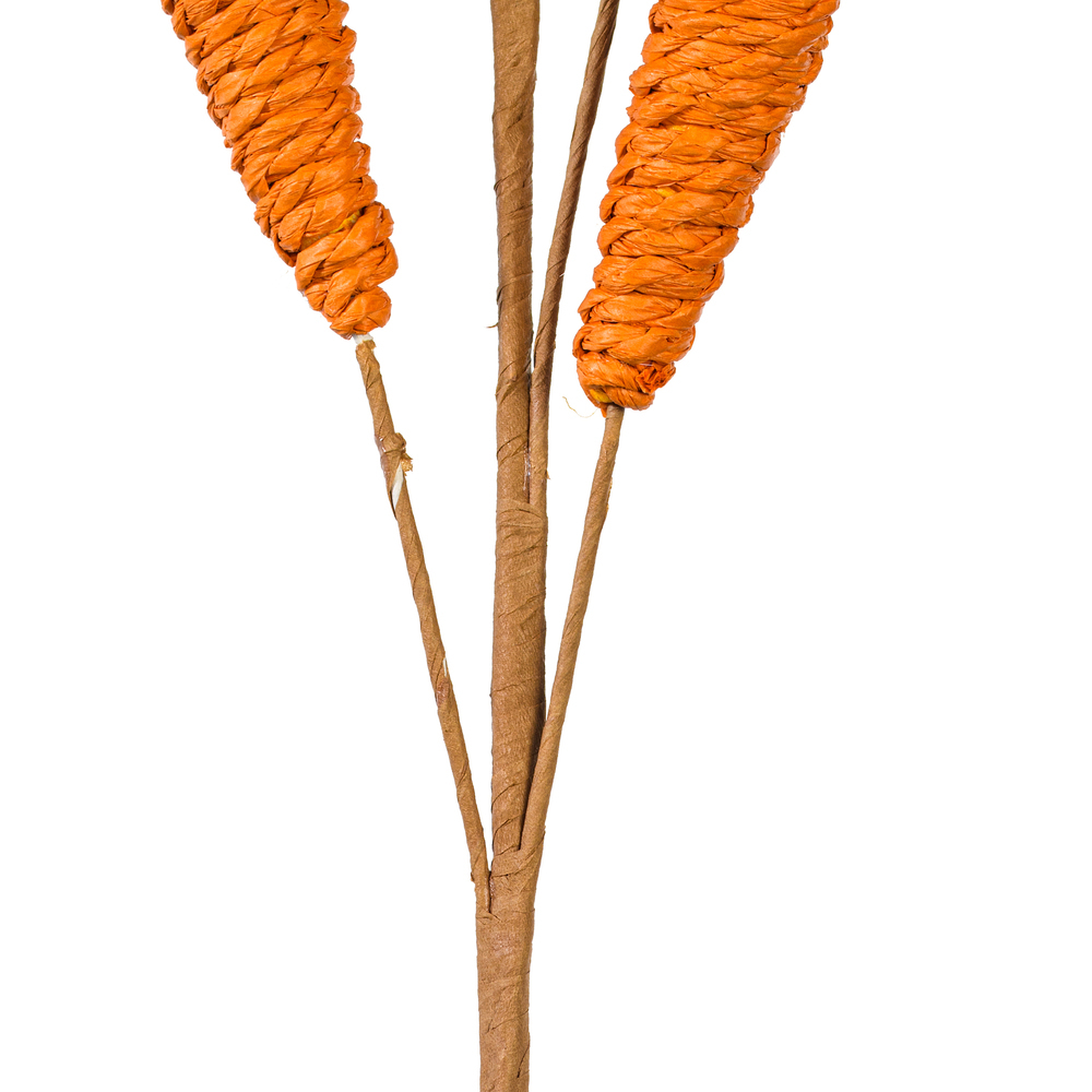 Vickerman Carrot Collection